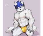 abs anthro asleepchef biceps blue_eyes blue_hair bulge canid clothing detailed_bulge hair hi_res male mammal muscular muscular_male nipples pecs pose simple_background smile solo speedo swimwear tail white_body 