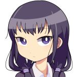  1girl black_hair bright_pupils closed_mouth collared_shirt commentary_request expressionless hair_over_shoulder hospital_king long_hair looking_at_viewer low_twintails portrait purple_eyes shirt simple_background solo tamura_yuri twintails watashi_ga_motenai_no_wa_dou_kangaetemo_omaera_ga_warui! white_background white_pupils white_shirt 