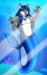  absurd_res anthro anthrofurry blue_hair feral gem hair hi_res hybrid jewelry mailner male marine merfolk merfur merfurry mermay2023 necklace pawpads reflective_body scales solo split_form underwater water wolffurry 