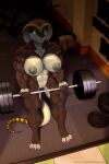  2:3 abs absurd_res anthro areola barbell breasts brown_body brown_scales claws cobra english_text exercise female genitals green_eyes hi_res muscular muscular_anthro muscular_female nipples purple_claws pussy reptile scales scalie shandi snake spotty_the_cheetah text weightlifting weights workout 