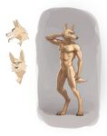  2023 absurd_res anthro athletic athletic_anthro athletic_male balls biped canid canine claws digital_media_(artwork) digitigrade flaccid fur genitals grey_background hi_res humanoid_genitalia humanoid_penis male mammal nude_anthro nude_male paws penis pngx_(artist) shaded simple_background solo tan_balls tan_body tan_fur tan_penis toe_claws white_background 