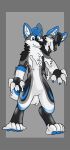  absurd_res ambiguous_gender amju_wolf anthro black_body black_fur blue_claws blue_ears blue_eyes blue_hair blue_markings blue_pawpads canid canine canis claws covered_in_goo fur goo_transformation grey_body grey_fur hair hi_res kovie_wusky liquid_latex living_latex mammal markings multicolored_body multicolored_fur pawpads smile solo standing takeover transformation white_body white_fur white_inner_ear wolf 