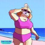  animal_crossing beach bra canid canine canis clothing domestic_dog female isabelle_(animal_crossing) isabelle_(disambiguation) isabelle_animal_crossing mammal nintendo parody seaside shih_tzu slightly_chubby toy_dog underwear 