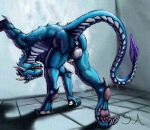  animal_genitalia anthro anus balls balls_blush belly_scales bent_over blue_body blush body_blush butt claws dewclaw digitigrade don&#039;t_drop_the_soap dragon feet genitals horn looking_at_viewer looking_back male muscular pawpads penis presenting presenting_hindquarters purple_eyes raised_tail scales scalie sheath shower solo superagro tail tongue wet 