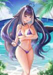  1girl ahoge animal_ears arm_under_breasts belt_collar bikini black_hair blue_bikini blue_collar blue_sky blush body_markings breasts cetacean_tail cleavage cloud collar facial_mark fins fish_tail heart heart_ahoge highres indie_virtual_youtuber large_breasts long_hair looking_at_viewer multicolored_hair ocean open_mouth orca_girl orihimestudio palm_tree purple_eyes shylily sky smile solo streaked_hair swimsuit tail tree virtual_youtuber water white_hair 