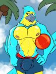  accipitrid accipitriform animal_crossing anthro avian ball barely_visible_genitalia barely_visible_penis beach beach_ball beak biceps bird bulge clothing coconut_tree eagle fruit_tree genital_outline genitals hi_res inflatable keaton_(animal_crossing) male maverickk_(artist) muscular muscular_anthro muscular_male nintendo nipples palm_tree pecs penis penis_outline plant seaside solo swimming_trunks swimwear tree wet wet_body wings 