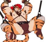  abs anthro armpit_hair biceps body_hair bulge claws drks felid hi_res male mammal muscular muscular_anthro muscular_male nipples pantherine pawpads pecs redick solo striped_body stripes submissive submissive_male tail tiger 