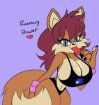  anthro archie_comics bodily_fluids breasts canid canine clothing colored digital_drawing_(artwork) digital_media_(artwork) english_text female fox fur hair hi_res looking_at_viewer mammal mother parent rosemary_prower sega simple_background smile solo solratic sonic_the_hedgehog_(archie) sonic_the_hedgehog_(comics) sonic_the_hedgehog_(series) tail text 