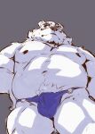  2023 absurd_res anthro bear belly black_nose borealis_(live_a_hero) bulge clothing heylaw21 hi_res kemono lifewonders live_a_hero male mammal moobs navel nipples overweight overweight_male polar_bear simple_background solo underwear ursine white_body 