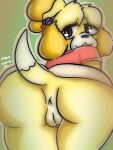  animal_crossing anthro anus big_butt butt canid canine canis domestic_dog female genitals hi_res isabelle_(animal_crossing) mammal mana_hannah nintendo pussy solo thick_thighs 