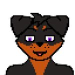  animated anthro black_body black_fur canid canine canis domestic_dog fur hi_res male mammal mastiff molosser purple_eyes quasar_(artist) rottweiler solo tongue tongue_out 