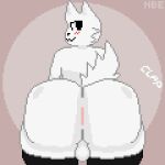  1:1 2023 :3 animated anthro anus balls big_butt blush boy_kisser_(meme) butt clap clothing digital_media_(artwork) domestic_cat felid feline felis fur genitals legwear looking_at_viewer looking_back loop male mammal notbraveenough nude pixel_(artwork) pixel_animation short_playtime silly_cat_(mauzymice) simple_background solo tail tan_background thigh_highs twerking white_body white_fur 