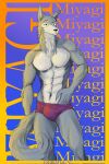  2023 5_fingers abs anthro athletic athletic_anthro athletic_male beastars black_nose bulge canid canine canis claws clothed clothing english_text finger_claws fingers fur grey_body grey_fur hand_in_underwear hi_res humanoid_hands looking_at_viewer male mammal miyagi_(beastars) navel ograda_v pecs pose solo text topless topless_anthro topless_male underwear wolf 