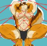  abs absurd_res anthro barrel_(live_a_hero) bdsm bondage bound canid canine canis clothing crouching flaccid genitals hi_res inuyama_kensin lifewonders live_a_hero male mammal muscular muscular_anthro muscular_male nipples pecs penis penis_base restraints rope rope_bondage rope_harness solo speedo swimwear wolf 
