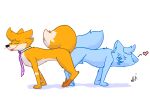  absurd_res canid canine chris_(raposanaranja) duo feral feral_on_feral fox hi_res knotting male male/male mammal raposanaranja tail_on_tail ych 