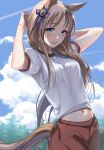  1girl absurdres animal_ears arms_up blue_eyes blush breasts brown_hair cloud cowboy_shot gmmrn grass_wonder_(umamusume) gym_uniform hand_in_own_hair highres horse_ears horse_girl horse_tail long_hair looking_at_viewer navel open_mouth red_shorts shirt short_sleeves shorts small_breasts smile solo tail tree umamusume white_shirt 