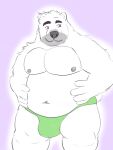  anthro bear belly big_belly bigboywuff bulge clothing fluffy fur hands_on_belly hi_res male mammal navel nipples pecs small_tail solo tail thick_thighs underwear white_body white_fur 