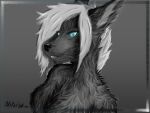  absurd_res anthro blue_eyes canid canine canis dark_body dark_fur female fur glowing glowing_eyes grey_body grey_hair hair hi_res mammal nibisu simple_background smile solo wolf 