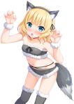  1girl 7fuji_06 animal_collar animal_costume animal_ears bell blonde_hair blue_eyes blush breasts claw_pose collar fake_animal_ears fake_tail fang fur-trimmed_shorts fur-trimmed_thighhighs fur-trimmed_tube_top fur_trim gochuumon_wa_usagi_desu_ka? hairband kirima_syaro long_hair looking_at_viewer micro_shorts navel neck_bell nose_blush open_mouth shorts small_breasts solo strapless tail tube_top v-shaped_eyebrows white_background wolf_costume wolf_ears wolf_tail wrist_cuffs 