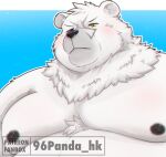  2023 96panda anthro bear black_nose blush cute_fangs fur hi_res kemono male mammal moobs nipples overweight overweight_male polar_bear portrait simple_background solo ursine white_body white_fur 