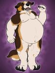  anthro belly belly_expansion canid canine canis chubby_male domestic_dog expansion fur hi_res male mammal molosser mountain_dog obese overweight overweight_male paws pumex saint_bernard solo 