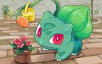  brick_floor brick_wall bulbasaur commentary_request fangs fangs_out flower flower_pot grass holding holding_watering_can kishimoto_aya looking_at_viewer open_mouth plant pokemon pokemon_(creature) red_eyes red_flower solo vine_whip water_drop watering_can 
