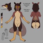  2023 a-pose ambiguous_gender anthro areola balls breasts butt claws dasyuromorph featureless_chest featureless_crotch flat_chested genitals grey_background hadmyway hadmyway_(fursona) hair long_hair looking_at_viewer mammal marsupial model_sheet multicolored_body navel nonbinary_(lore) numbat pawpads paws pose simple_background solo standing yellow_sclera 