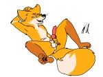  absurd_res anatomically_correct anatomically_correct_genitalia anatomically_correct_penis animal_genitalia animal_humanoid animal_penis anthro balls butt canid canid_humanoid canine canine_genitalia canine_humanoid canine_penis chris_(raposanaranja) fox fox_humanoid genitals hi_res hindpaw humanoid knot lying male male/male mammal mammal_humanoid on_back orange_body paws penis png_file presenting presenting_hindquarters raposanaranja red_penis red_rocket solo teasing_viewer 