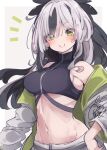  1girl bare_shoulders beni_shake black_hair blush closed_mouth commentary_request eyes_visible_through_hair fate/grand_order fate_(series) green_eyes grey_background grey_hair grey_jacket groin hair_over_one_eye jacket long_hair looking_at_viewer multicolored_hair nagao_kagetora_(fate) navel notice_lines off_shoulder open_clothes open_jacket signature smile solo streaked_hair two-tone_background very_long_hair white_background 