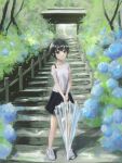  1girl absurdres black_eyes black_hair black_skirt blue_flower flower full_body highres holding holding_umbrella hydrangea looking_at_viewer okura_lino original scenery shirt short_hair skirt solo stairs standing transparent transparent_umbrella umbrella white_footwear white_shirt 