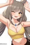  1girl :d animal_ears armpits arms_up bare_shoulders breasts camisole cleavage commentary crop_top grey_hair highres long_hair looking_at_viewer low_twintails medium_breasts midriff namu_(112namu) navel nia_(xenoblade) open_mouth smile solo spaghetti_strap stomach twintails upper_body very_long_hair white_background xenoblade_chronicles_(series) xenoblade_chronicles_2 yellow_eyes 