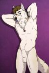 animal_genitalia annairu anthro balls blep boxer_briefs bulge canid canine canis clothed clothing eyewear fluffy genitals glasses hi_res jewelry male mammal necklace nude sabbyth scruffy sheath solo tongue tongue_out topless topless_anthro topless_male underwear wolf 
