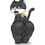  1:1 2022 anthro anus atlus balls bandanna bent_over big_butt black_body black_ears black_fur black_tail blue_eyes butt digital_media_(artwork) domestic_cat fangs felid feline felis fur genitals half-closed_eyes hi_res kerchief looking_back male mammal megami_tensei megami_tensei_persona morgana_(persona) multicolored_body multicolored_fur narrowed_eyes nekoni on_ground pink_nose rear_view sega sharp_teeth simple_background sketch solo tail teapot_(body_type) teeth thick_thighs tongue tuxedo_cat two_tone_body two_tone_fur white_background white_body white_fur yellow_bandanna yellow_kerchief 