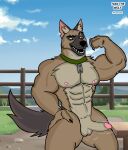  abs anthro balls biceps brutus_(pixie_and_brutus) canid canine canis casual_erection casual_nudity collar collar_only domestic_cat domestic_dog erection felid feline felis fur genitals german_shepherd herding_dog hi_res humanoid_genitalia humanoid_hands humanoid_penis ivan_the_artist male mammal manly muscular muscular_anthro muscular_male nature navel nipples nude outdoor_nudity outside pastoral_dog penis pixie_and_brutus solo 