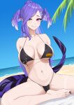  1girl absurdres beach bikini black_bikini blue_sky breasts day dragon_girl dragon_tail grin head_wings heterochromia highres kuon_bb large_breasts long_hair looking_at_viewer meme navel nijihub_(meme) nijisanji nijisanji_en purple_hair selen_tatsuki sitting sky smile solo swimsuit tail very_long_hair wings 