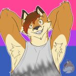  bisexual codymathews dakota_mathews female furry furryart furryfandom invalid_tag lgbt_pride male pride_(disambiguation) solo 