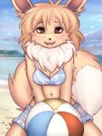  anthro ball beach beach_ball bikini clothing eevee elronya female generation_1_pokemon hi_res inflatable nintendo pokemon pokemon_(species) seaside solo sunny swimwear 
