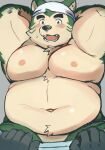  anthro bandanna being_undressed belly biceps blush canid canine canis disembodied_hand domestic_dog duo eyebrows fupa fur green_body green_eyes green_fur hands_behind_head hi_res kerchief lifewonders live_a_hero male mammal mokdai musclegut navel nipples pecs shimo_kawa thick_eyebrows 