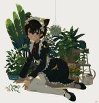  1girl absurdres animal_ear_fluff animal_ears apron black_footwear black_hair blush cat_ears cat_girl chair collared_dress commentary dress english_commentary flower frilled_dress frills full_body grey_eyes hair_between_eyes hanging_plant highres kgt_(pixiv12957613) long_sleeves looking_at_viewer maid maid_apron maid_headdress mary_janes neck_ribbon one_side_up original pantyhose parted_lips plant potted_plant puffy_long_sleeves puffy_sleeves red_ribbon ribbon shoes short_hair signature simple_background solo watering_can white_background white_flower white_pantyhose 