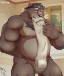  2023 anthro asian_clothing bear brown_body clothing east_asian_clothing fi94014131 fundoshi hi_res humanoid_hands japanese_clothing kemono male mammal moobs musclegut nipples overweight overweight_male solo underwear 