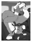  anthro ball_gag bdsm bodily_fluids canid canine car chain clothing cuff_(restraint) cum cum_on_face cum_on_own_face cum_on_self disembodied_hand duo fluffy fluffy_tail footwear fox gag genital_fluids head_tuft hi_res highlights_(coloring) inside_car junkieboi male malloy_(doctorpup) mammal precum restraints slave socks tail tuft upside_down vehicle white_highlights 
