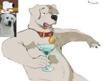  alcohol anthro beverage biped bird_dog brian_griffin canid canine canis collar domestic_dog family_guy fur half-closed_eyes hi_res holding_object hunting_dog labrador looking_away male mammal margarita name_tag narrowed_eyes nipples open_mouth red_collar reference_image retriever simple_background sitting slightly_chubby solo thesmilingbox white_background white_body white_fur 