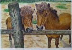  animal colored_pencil_(medium) fence grass highres horse looking_at_viewer nakanaori31 no_humans original realistic still_life traditional_media wooden_fence 