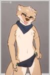  adrian_(snowstormbat) anthro bandanna blush briefs bulge clothing eyewear glasses hi_res kerchief male mammal mustelid otter snowstormbat solo speedo swimwear underwear undressing 