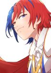  1boy alear_(fire_emblem) alear_(male)_(fire_emblem) blue_eyes blue_hair closed_mouth fcgc_(friedalwaysgood) fire_emblem fire_emblem_engage highres looking_at_viewer male_focus multicolored_hair one-hour_drawing_challenge red_eyes red_hair smile two-tone_hair 