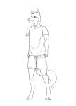  anthro bottomwear canid canine canis clothing dipingxiangtr.d male mammal no_shoes shirt shorts solo story story_in_description t-shirt topwear wolf 