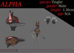  alpha_(conry) bird&#039;s-eye_view black_pupils brown_body brown_fur brown_hair claws conry dark_body dark_fur feral fur grey_body grey_fur hair hi_res high-angle_view kerchief looking_at_viewer male mammal melee_weapon model_sheet out-of-placers pupils red_sclera solo sword text weapon webcomic yinglet 