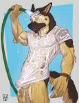  anthro bottomless canid canine canis clothed clothing domestic_dog german_shepherd herding_dog hi_res lion21 male mammal muscular muscular_male pastoral_dog shirt solo topwear translucent translucent_clothing water wet wet_clothing wet_shirt wet_topwear 