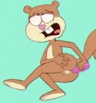  anal anal_masturbation anal_penetration anthro autopenetration butt censored censored_genitalia censored_pussy dildo dildo_in_ass dildo_insertion female looking_pleasured looking_up low_res mammal masturbation nickelodeon object_in_ass penetration rodent sandy_cheeks sciurid sex_toy sex_toy_in_ass sex_toy_insertion solo spongebob_squarepants spread_butt spreading third-party_edit tree_squirrel vsdrawfag 