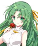  1girl blush breasts closed_mouth commentary_request eyelashes eyes_visible_through_hair flower green_eyes green_hair hair_ribbon half_updo hand_up higurashi_no_naku_koro_ni holding holding_flower large_breasts long_hair looking_at_viewer parted_bangs red_flower red_rose ribbed_sweater ribbon rose sidelocks simple_background sleeveless sleeveless_turtleneck smile solo sonozaki_shion suzuragi_karin sweater turtleneck turtleneck_sweater very_long_hair white_background yellow_ribbon 
